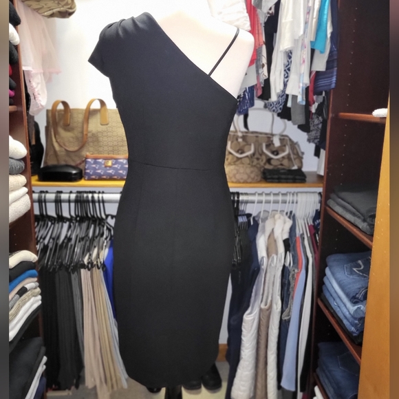 Adrienne Vittadini Dresses - Picture 2 of 6